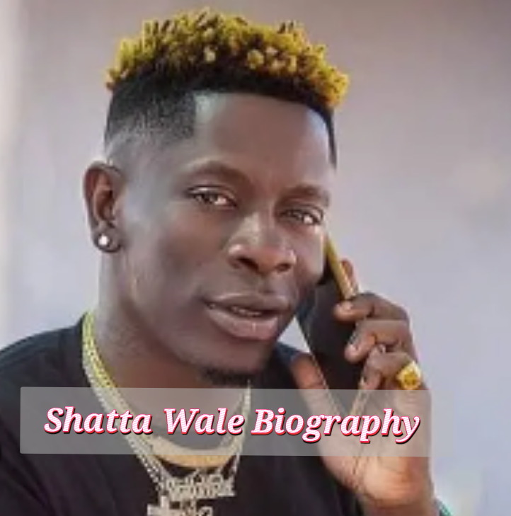Shatta Wale Biography, Early Life, Internet value, Age, profession