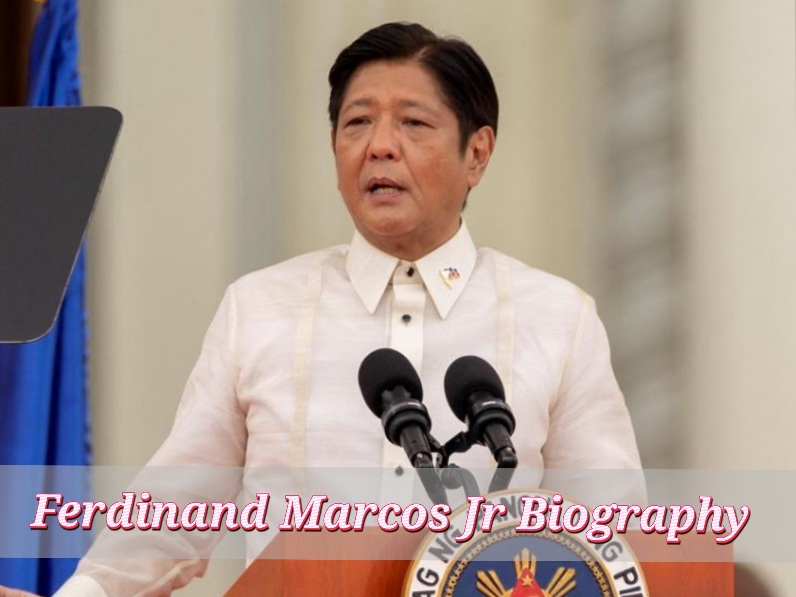 Ferdinand Marcos Jr Biography, Age, Private Life, Internet value, Profession