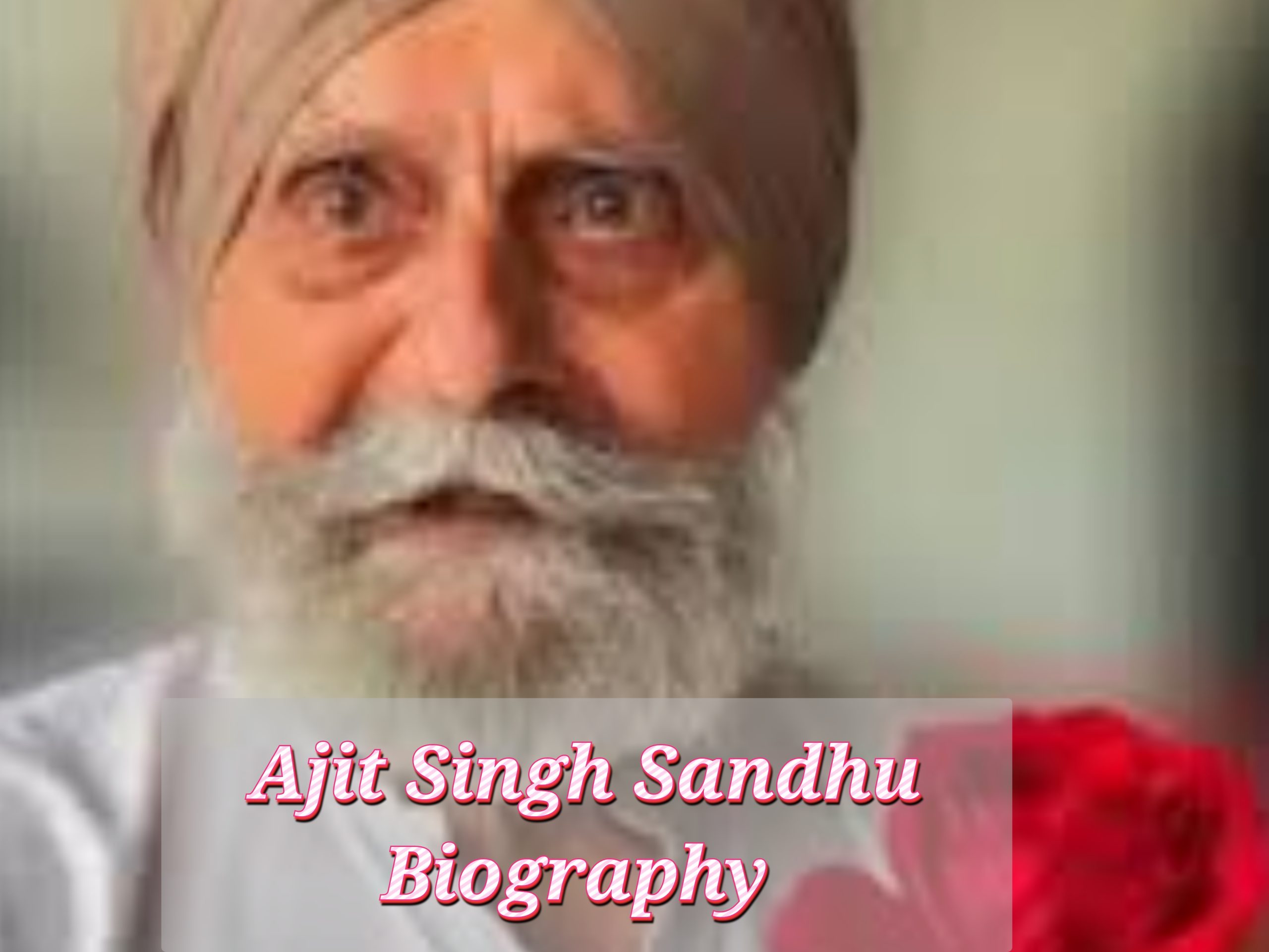 Ajit Singh Sandhu Biography, Profession, Early Life, Schooling, Internet Price, Age, Awards