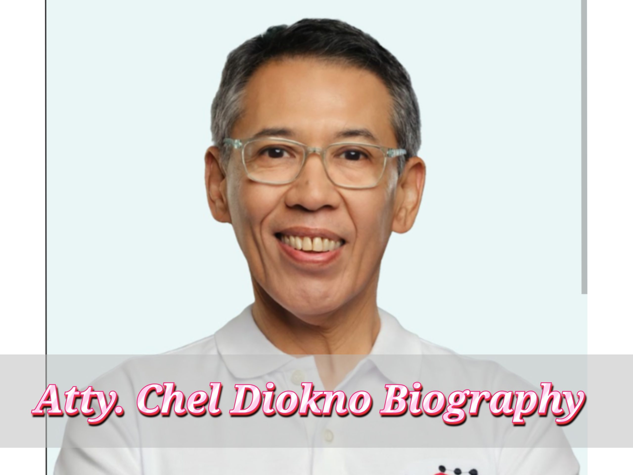 Atty. Chel Diokno Biography, Age, Profession, Private Life