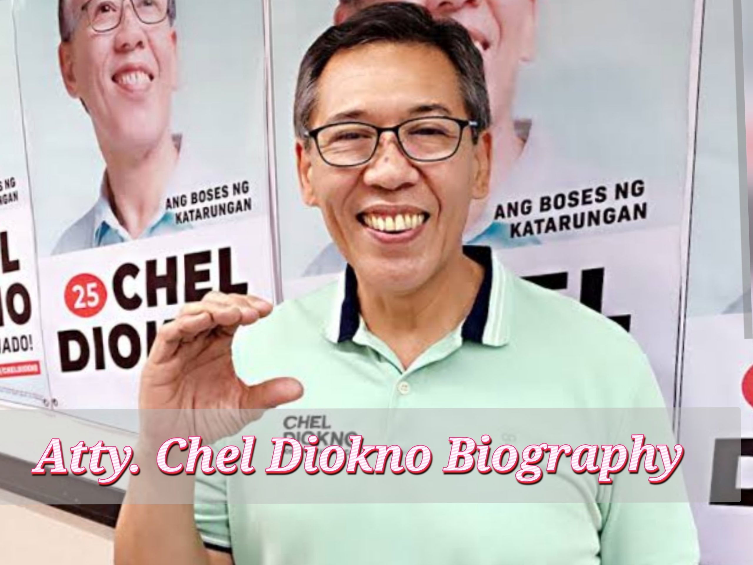 Atty. Chel Diokno, Early Life, Training, Awards, Profession, Age, Household, Web Value