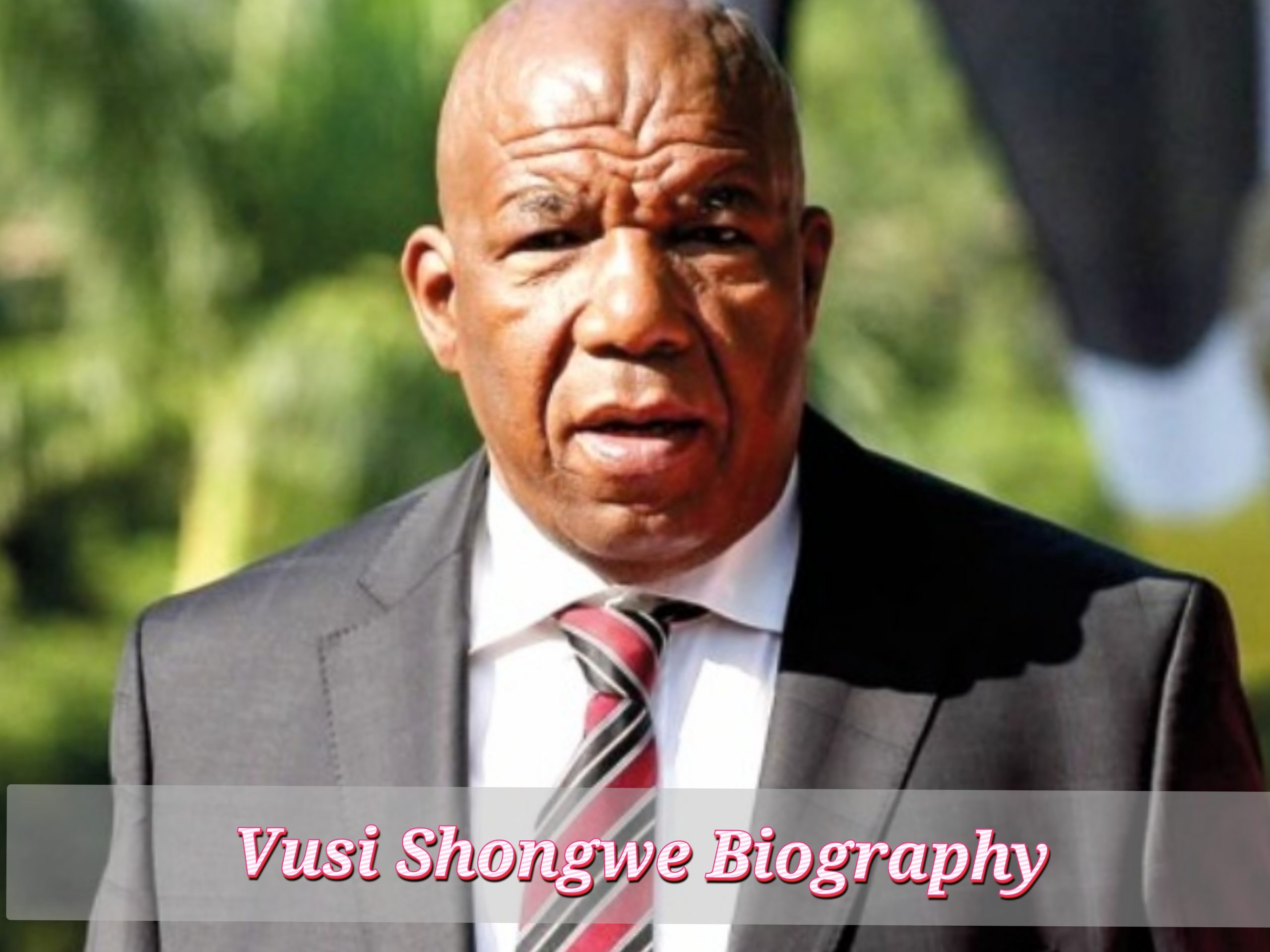 Vusi Shongwe Biography, Profession, Age, Web Price, Private Life, Early Life, Household
