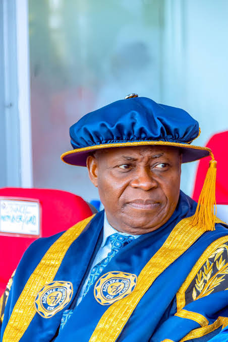 Adedeji Adeleke Biography: The Nigerian Billionaire Behind Davido
